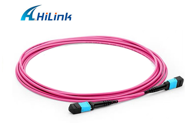 fiber MPO- LC patch cords